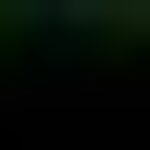 Profile picture of getmoneyent4life@gmail.com